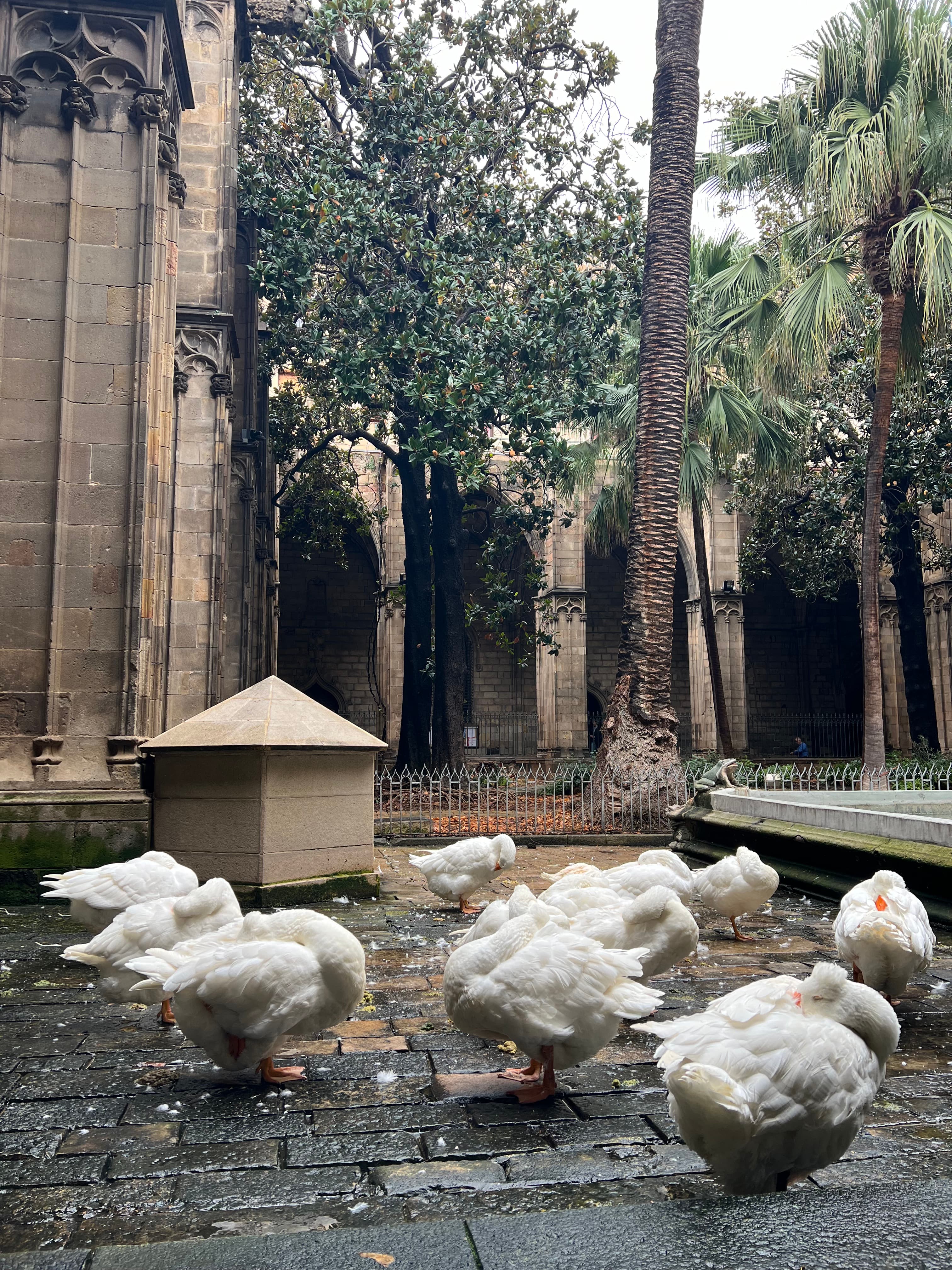 Barcelona